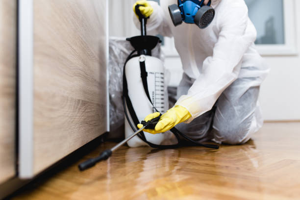 Best Pest Prevention Services  in Easton, PA