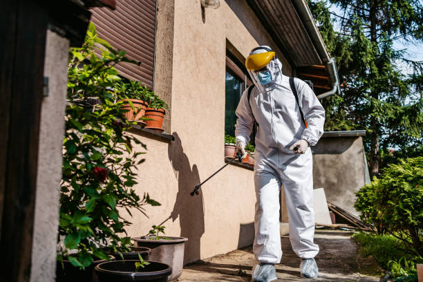 Best Pest Control Treatment  in Easton, PA