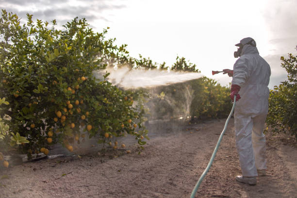 Best Best Pest Control Companies  in Easton, PA