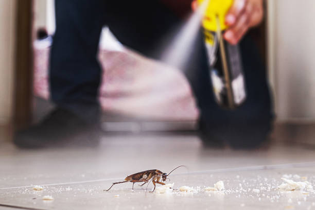 Best Cockroach Control Services  in Easton, PA