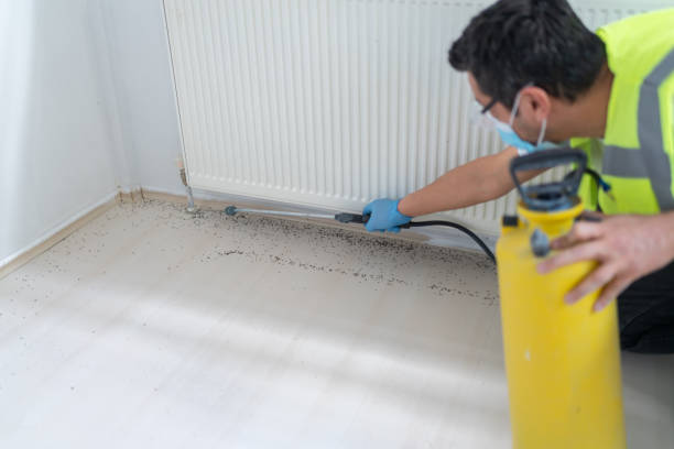 Best Exterminator Services  in Easton, PA
